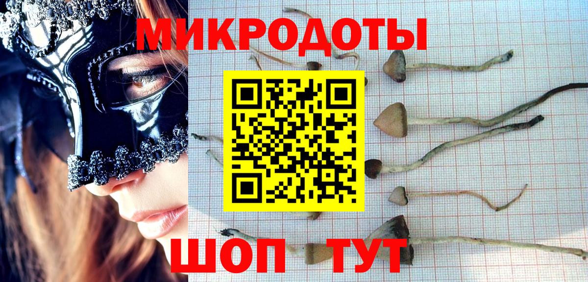 Ангарск  Псилоцибиновые грибы Cubensis  Вход с VPN  Галлюциногенные грибы Magic Shrooms 